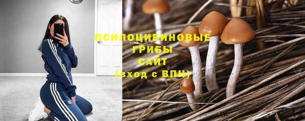 прущий лед Зеленодольск