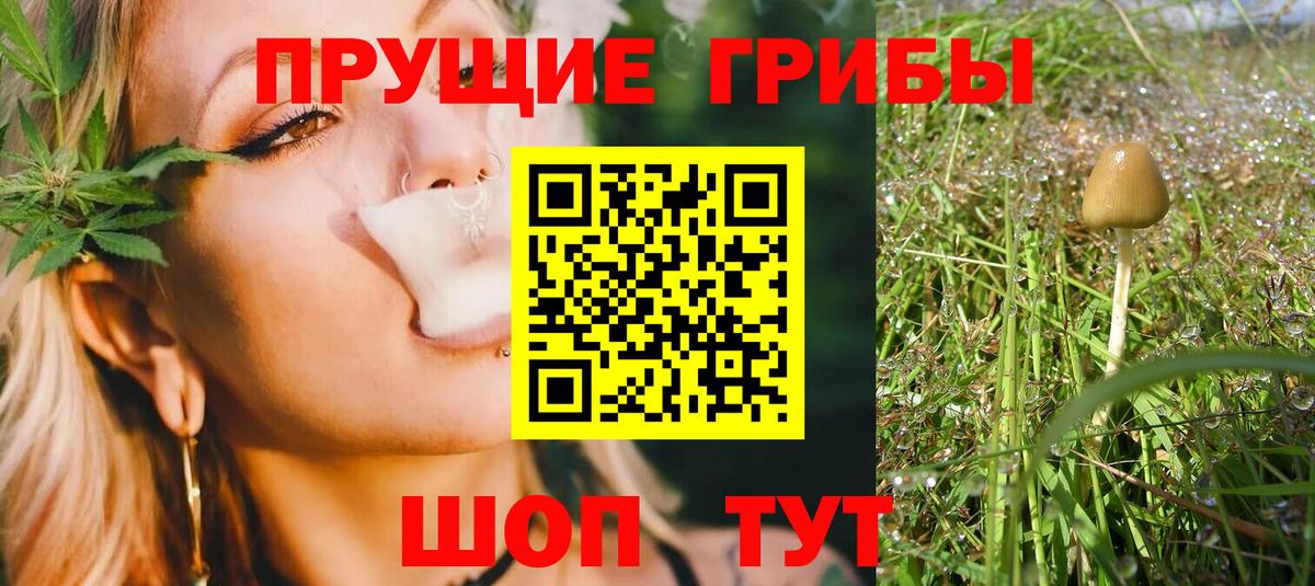 Псилоцибиновые грибы Magic Shrooms Кизляр