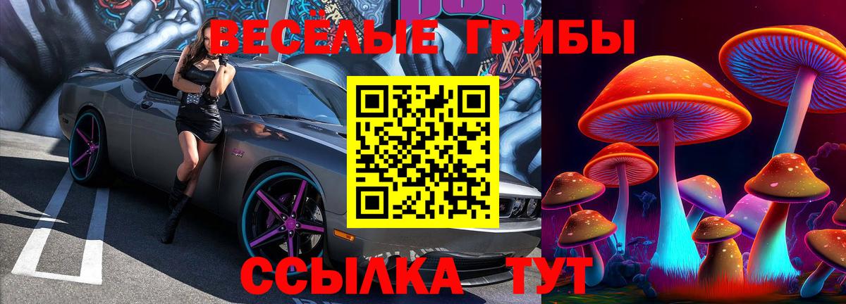 Кизляр  Галлюциногенные грибы прущие грибы  даркнет сайт  Вход с VPN 